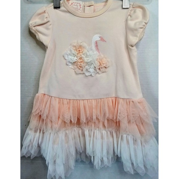 Baby Biscotti Dress 18M Pink Swan Floral Tulle Ruffle Short Sleeve No Panty Incl - Picture 1 of 5